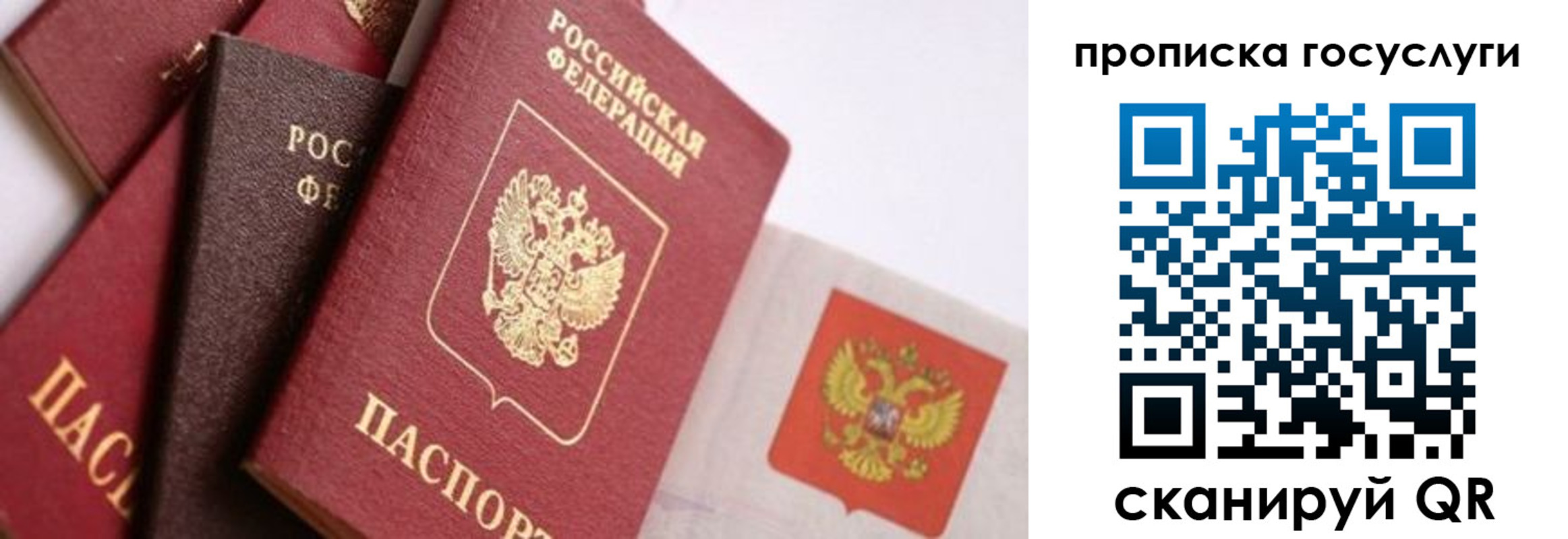 прописка законно в Нелидово